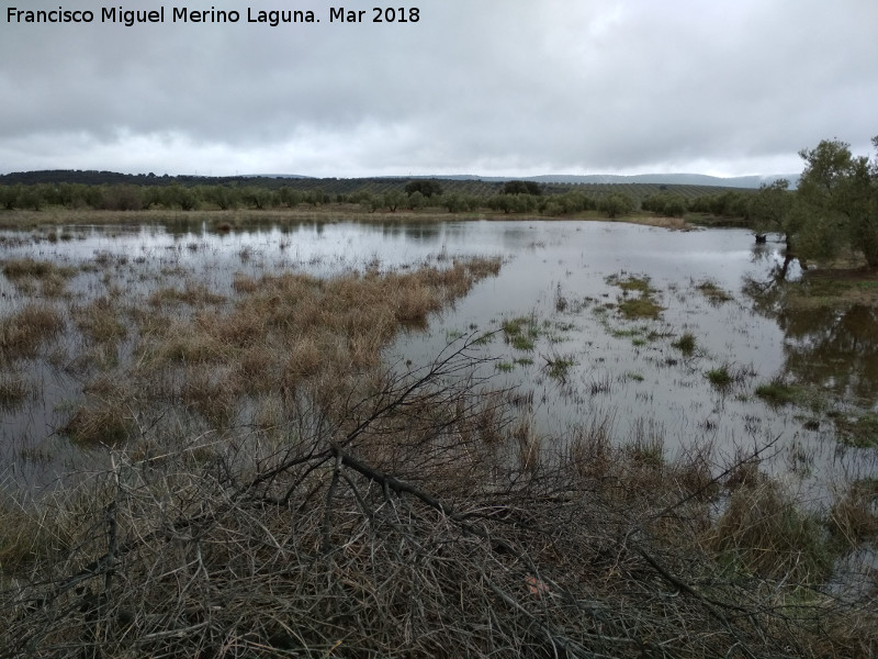 Laguna Pequea de los Perales - Laguna Pequea de los Perales. 