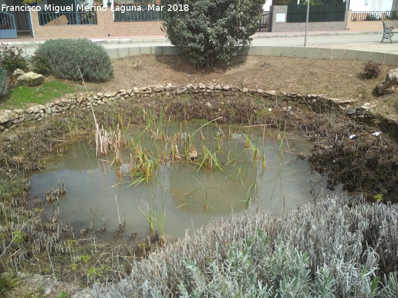 Charca de la Alameda - Charca de la Alameda. 