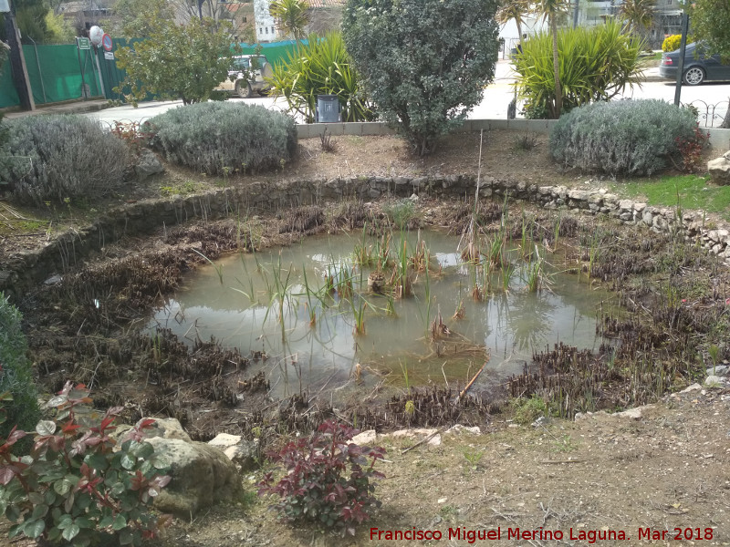 Charca de la Alameda - Charca de la Alameda. 