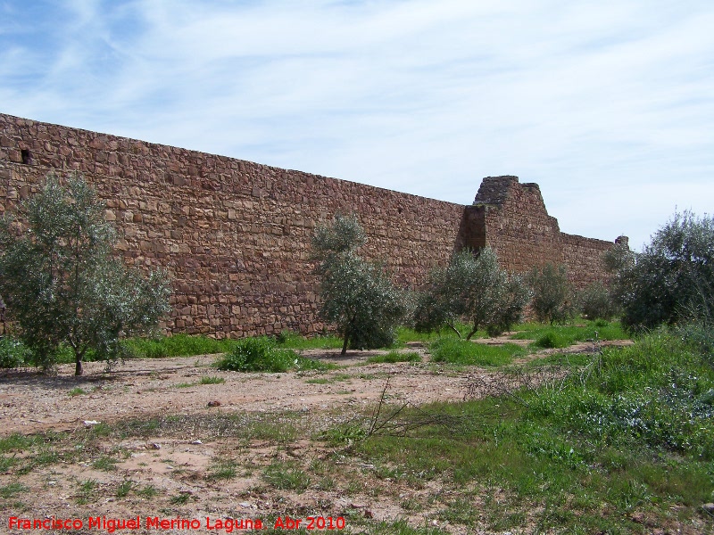 Fundicin de San Luis - Fundicin de San Luis. 