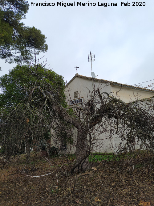 Cortijo de Torrequebrada - Cortijo de Torrequebrada. 