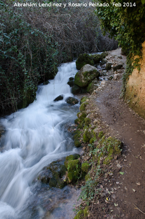 Las Chorreras - Las Chorreras. Camino