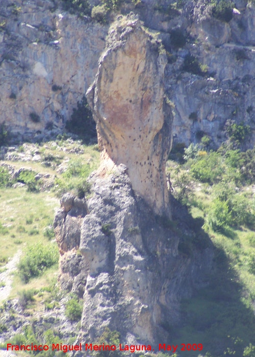 Caon de Pitillos - Caon de Pitillos. Formacin de piedra caliza