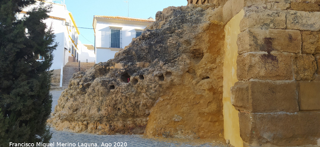 Alc�zar de la Puerta de Sevilla - Alc�zar de la Puerta de Sevilla. Roca madre