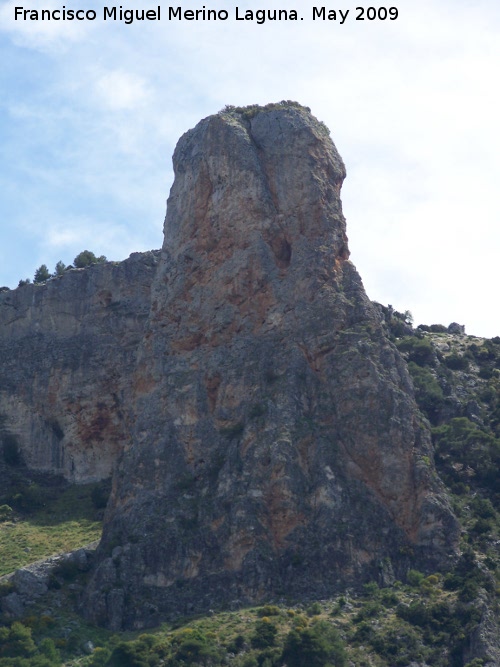 Piedra del Palo - Piedra del Palo. 