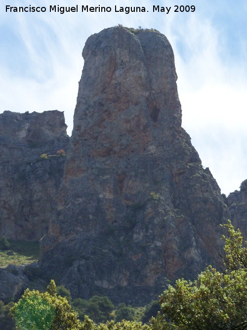 Piedra del Palo - Piedra del Palo. 