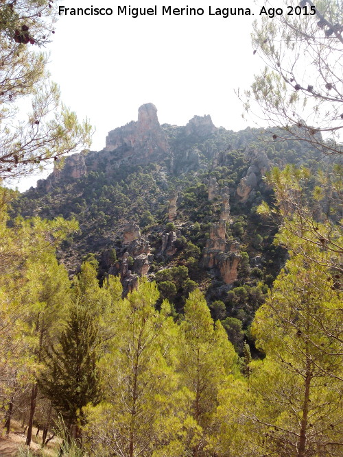 Piedra del Palo - Piedra del Palo. 