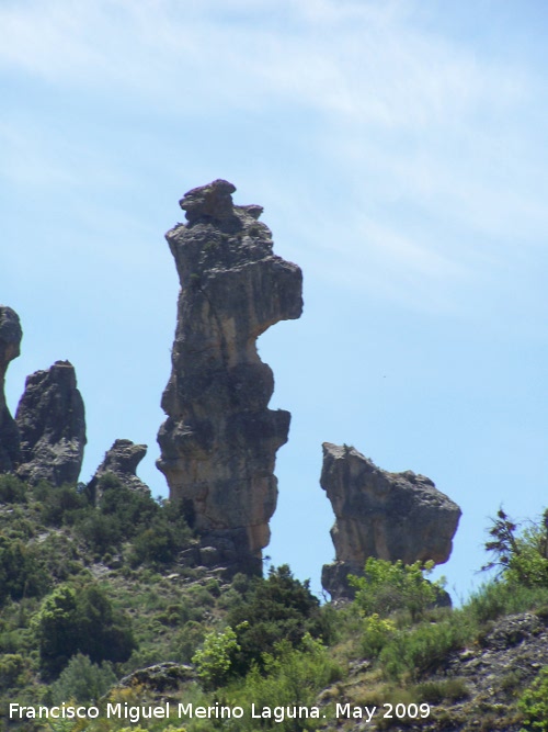 Caballos de Ajedrez - Caballos de Ajedrez. 