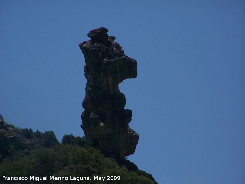 Caballos de Ajedrez - Caballos de Ajedrez. 