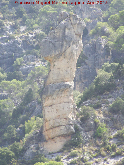 Caballos de Ajedrez - Caballos de Ajedrez. 