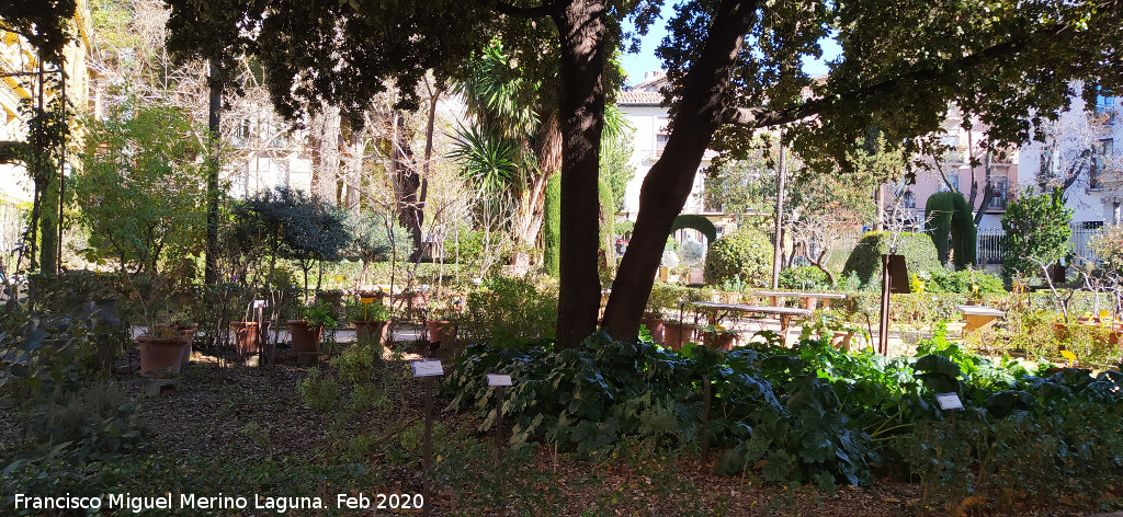 Jard�n Bot�nico - Jard�n Bot�nico. 