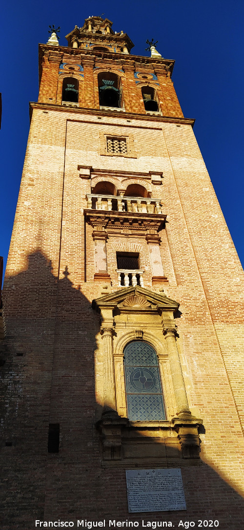 Iglesia de San Pedro - Iglesia de San Pedro. Campanario