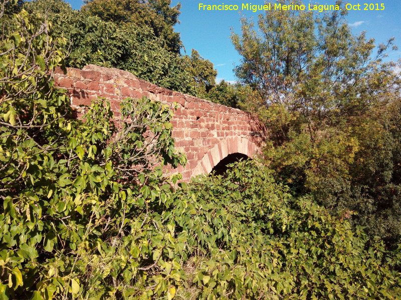 Puente de la Golondrina - Puente de la Golondrina. 