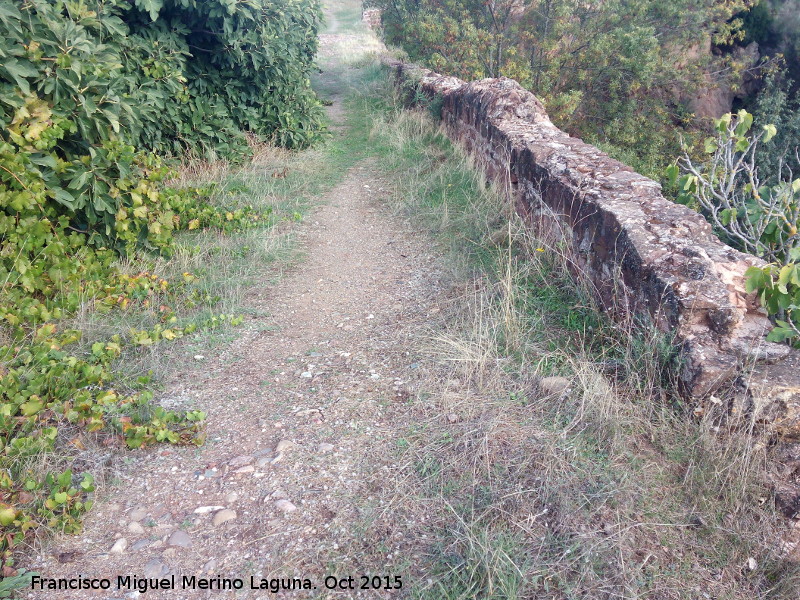 Puente de la Golondrina - Puente de la Golondrina. Parapeto y calzada