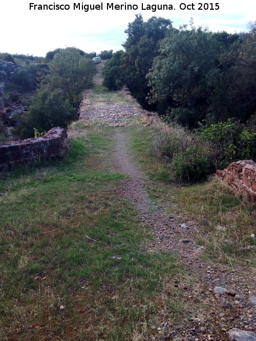 Puente de la Golondrina - Puente de la Golondrina. Parapetos y calzada