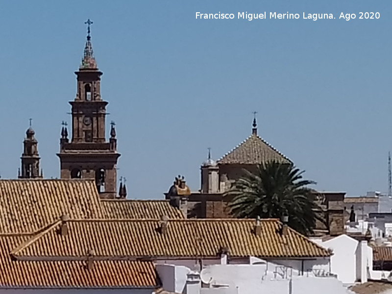Iglesia Prioral de Santa Mar�a de la Asunci�n - Iglesia Prioral de Santa Mar�a de la Asunci�n. Desde el Alc�zar de la Puerta de Sevilla