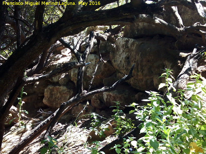 Poblado prehistrico del Cerro del Salto - Poblado prehistrico del Cerro del Salto. Muralla