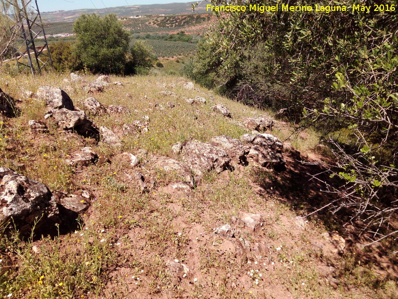 Poblado prehistrico del Cerro del Salto - Poblado prehistrico del Cerro del Salto. 