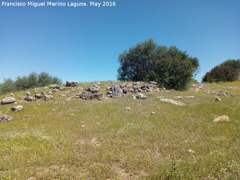 Poblado prehistrico del Cerro del Salto - Poblado prehistrico del Cerro del Salto. Lnea de muralla y a la derecha esquina de edificacin