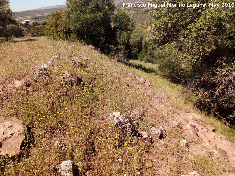 Poblado prehistrico del Cerro del Salto - Poblado prehistrico del Cerro del Salto. Lnea de muralla