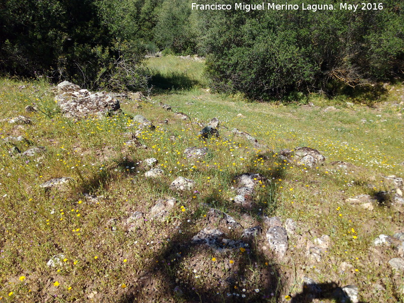 Poblado prehistrico del Cerro del Salto - Poblado prehistrico del Cerro del Salto. Lnea de muralla