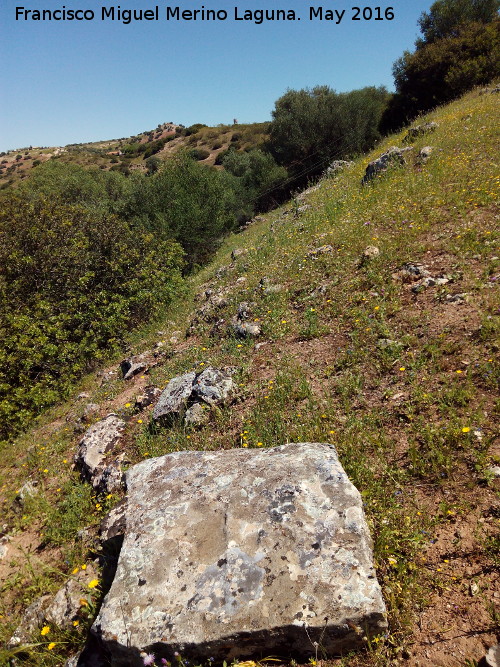 Poblado prehistrico del Cerro del Salto - Poblado prehistrico del Cerro del Salto. Sillar y lnea de muro del camino