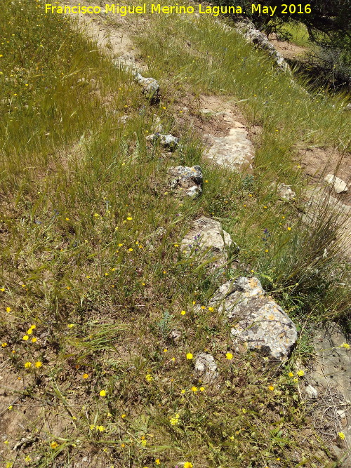 Poblado prehistrico del Cerro del Salto - Poblado prehistrico del Cerro del Salto. Lnea de muro