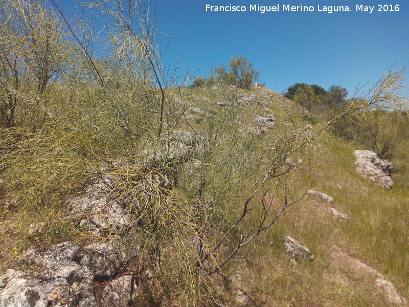 Poblado prehistrico del Cerro del Salto - Poblado prehistrico del Cerro del Salto. Lnea de muralla