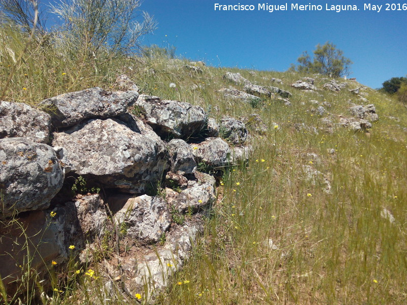 Poblado prehistrico del Cerro del Salto - Poblado prehistrico del Cerro del Salto. Muralla