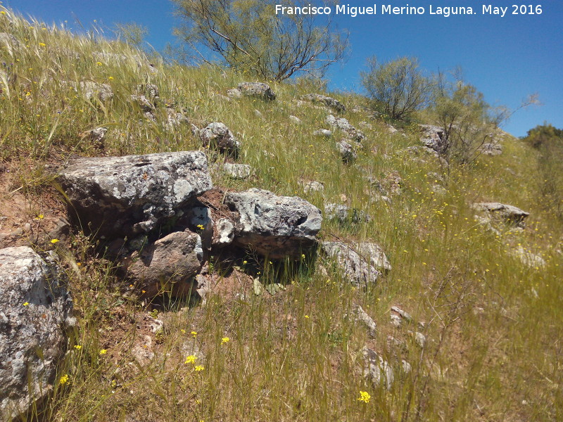 Poblado prehistrico del Cerro del Salto - Poblado prehistrico del Cerro del Salto. Muralla