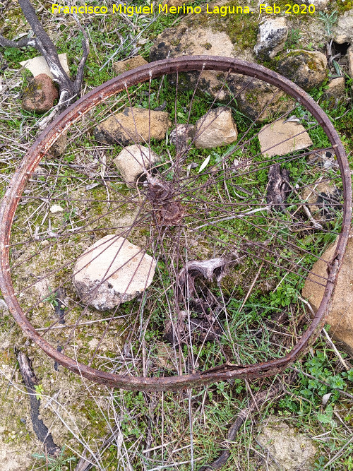 Caracol Herido - Caracol Herido. Rueda de bicicleta antigua