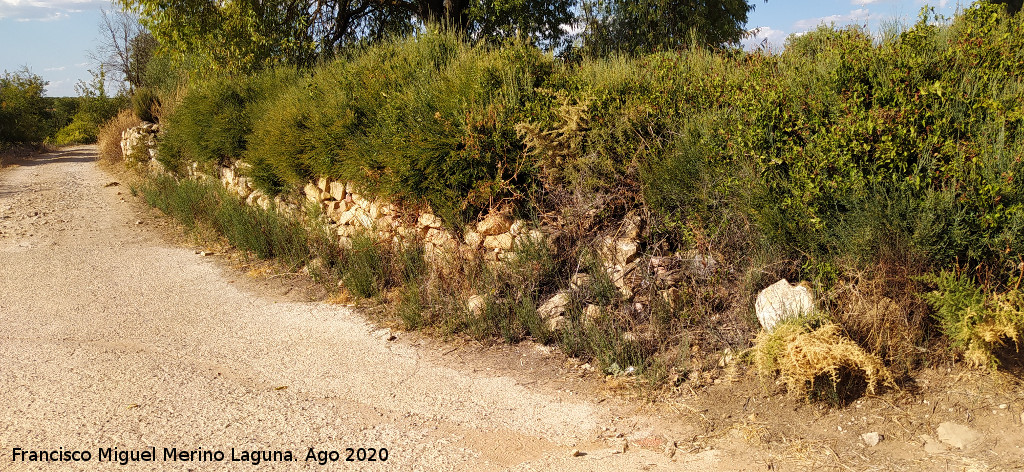 Camino de Perovela - Camino de Perovela. Albarrada de piedra seca
