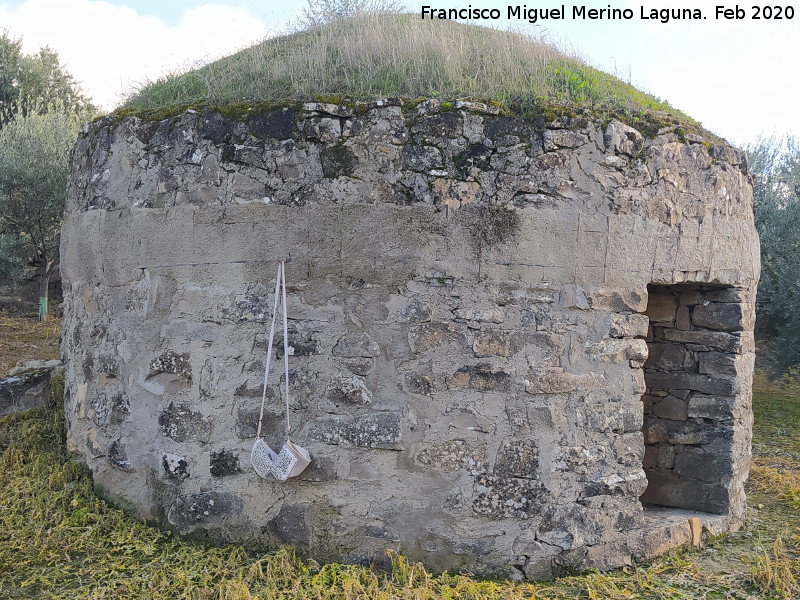 Caracol Labriego - Caracol Labriego. 