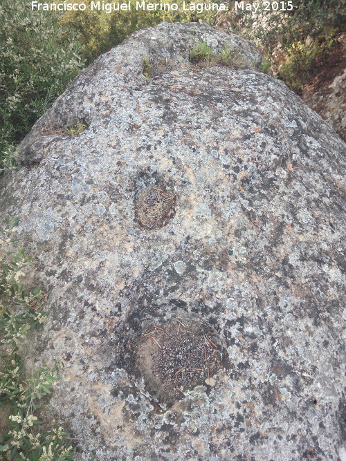 Petroglifos rupestres de la Piedra Hueca Chica - Petroglifos rupestres de la Piedra Hueca Chica. Cazoletas