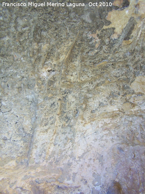 Petroglifos rupestres de la Piedra Hueca Chica - Petroglifos rupestres de la Piedra Hueca Chica. Petroglifos superiores
