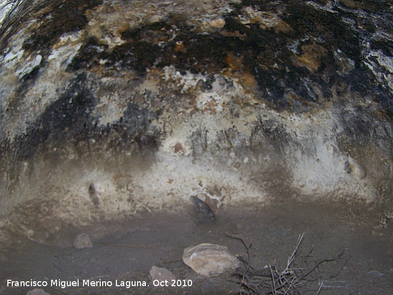 Petroglifos rupestres de la Piedra Hueca Grande - Petroglifos rupestres de la Piedra Hueca Grande. Petroglifos