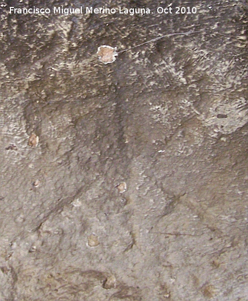Petroglifos rupestres de la Piedra Hueca Grande - Petroglifos rupestres de la Piedra Hueca Grande. Petroglifo IV smbolo 8b antropomorfo