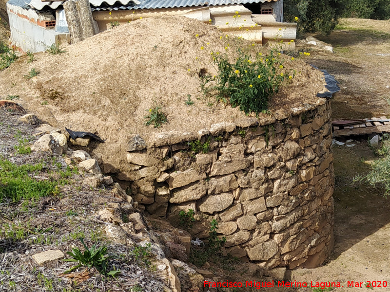 Caracol de la Terraza de los Prietos - Caracol de la Terraza de los Prietos. 