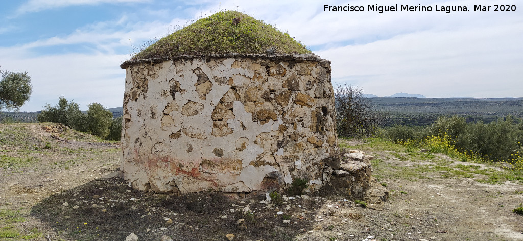 Caracol Promontorio - Caracol Promontorio. 