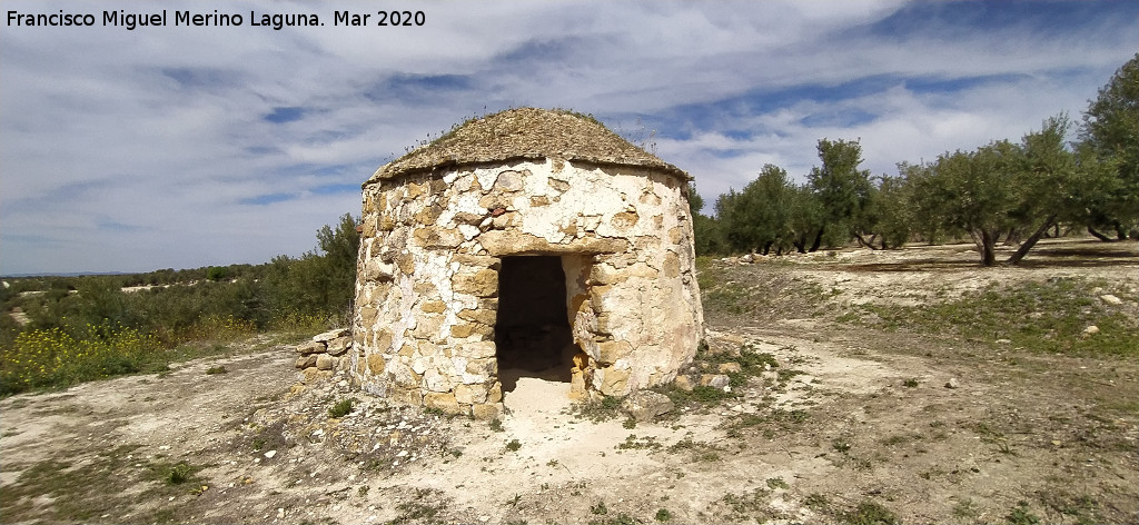 Caracol Promontorio - Caracol Promontorio. 