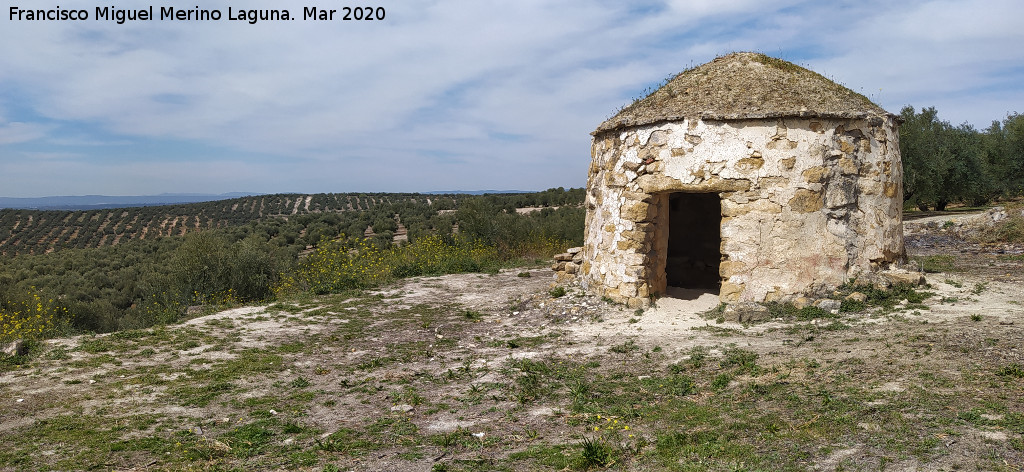 Caracol Promontorio - Caracol Promontorio. 