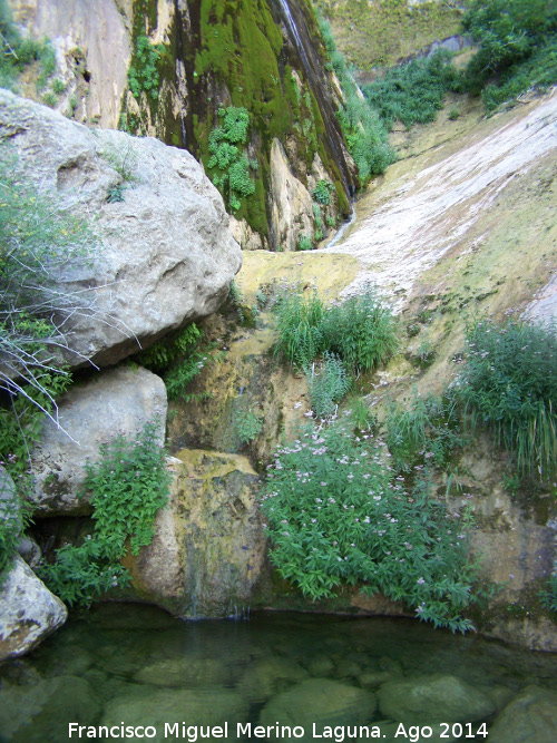 Cascada de Chorrogil - Cascada de Chorrogil. Poza