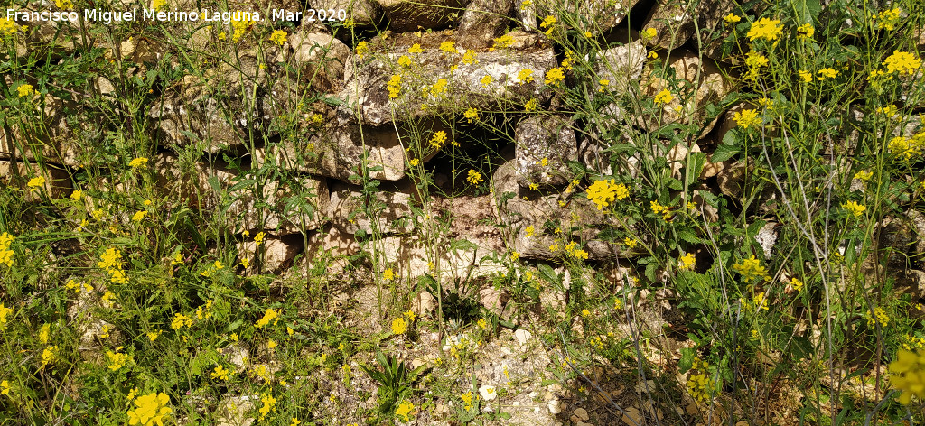 Hueco de La Hila - Hueco de La Hila. 