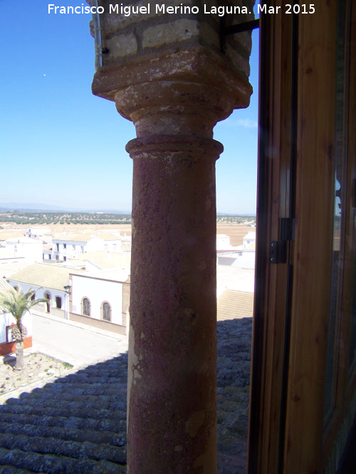 Casa del Conde de la Quintera - Casa del Conde de la Quintera. Columna