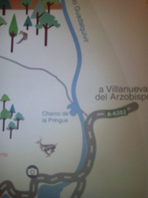 Charco de la Pringue - Charco de la Pringue. Mapa