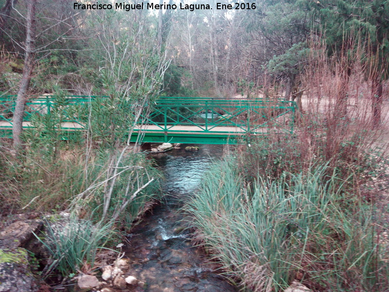 Charco de la Pringue - Charco de la Pringue. Puente