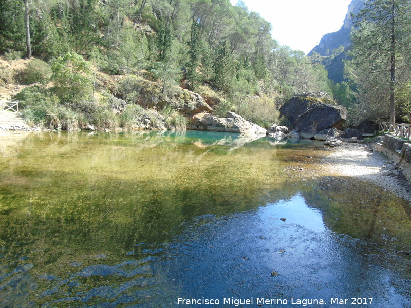 Charco de la Pringue - Charco de la Pringue. 