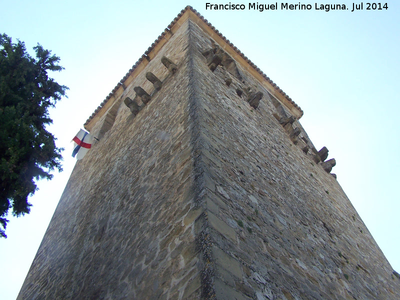 Castillo de La Moraleja - Castillo de La Moraleja. 