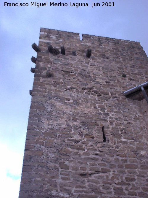 Castillo de La Moraleja - Castillo de La Moraleja. Matacanes del torren menor