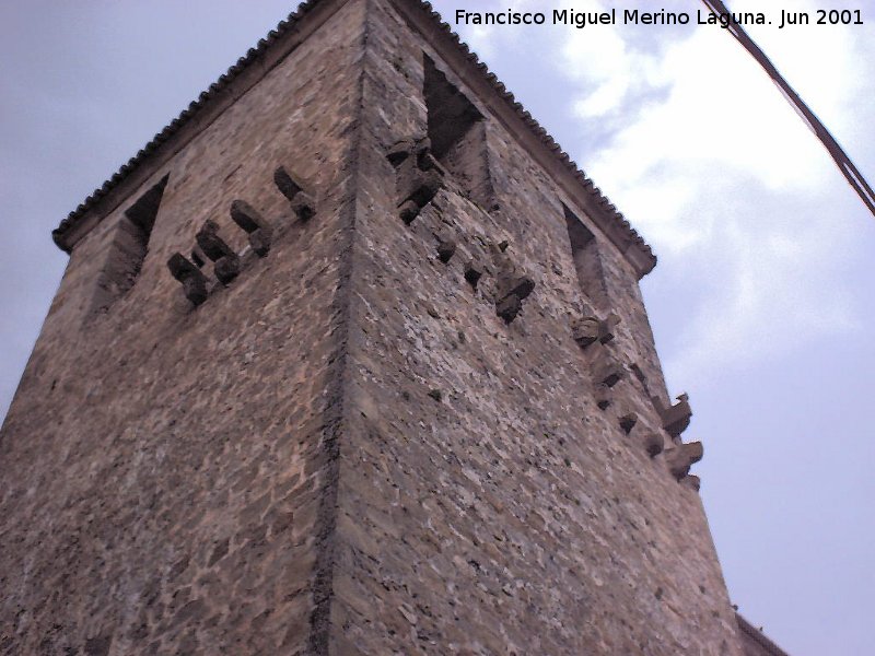 Castillo de La Moraleja - Castillo de La Moraleja. Torre del Homenaje con matacanes
